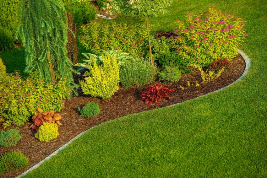 Gartengestaltung & Gartenplanung